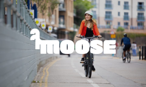 NotOnSunday-Moose-Branding-Logo-Photography-2000×1200