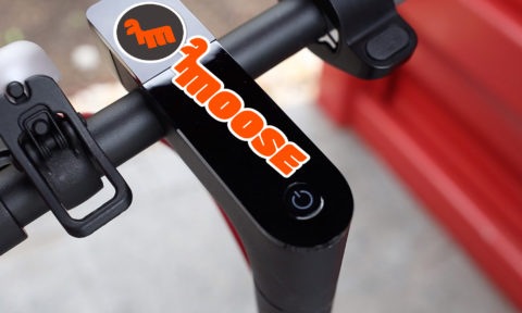 NotOnSunday-Moose-Branding-Scooter-Stickers-2000×1200