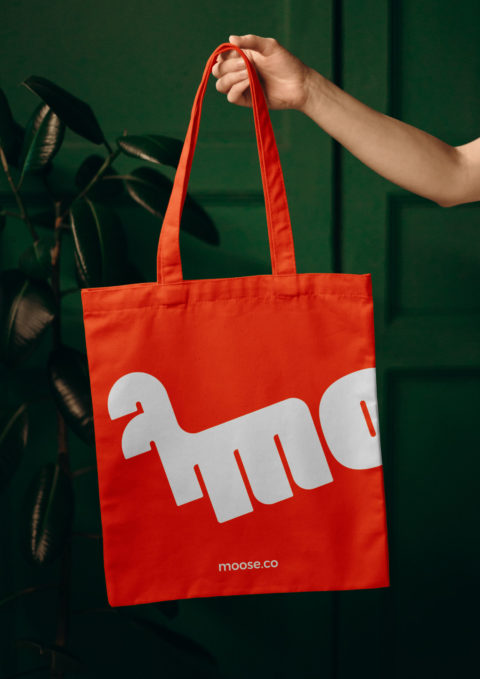 NotOnSunday-Moose-Branding-Totebag-2000×2828
